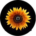 Yellow Sunflower Tire Cover - Backup Camera Ready